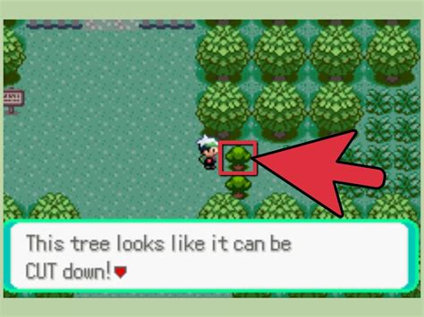 how to cut trees in pokemon ruby|Pokemon Ruby and Sapphire :: Full Walkthrough.